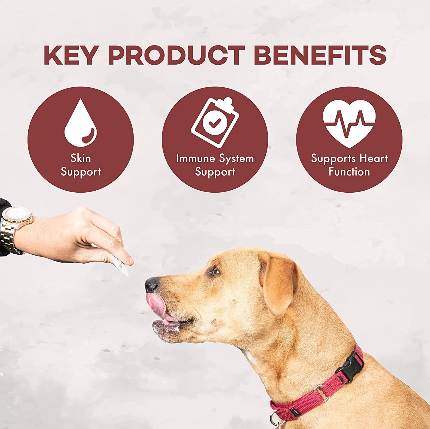 Pup Packs Skin & Immune Support Dog Supplement 30Ct - Image 4