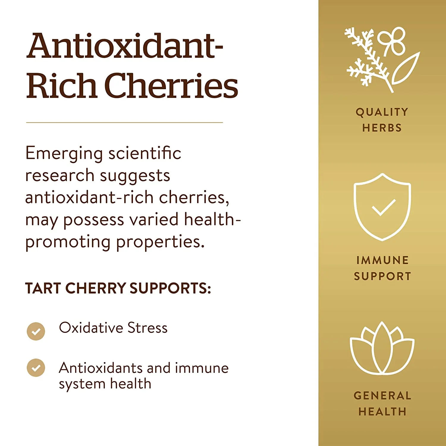 Tart Cherry Extract 1000Mg - Image 3