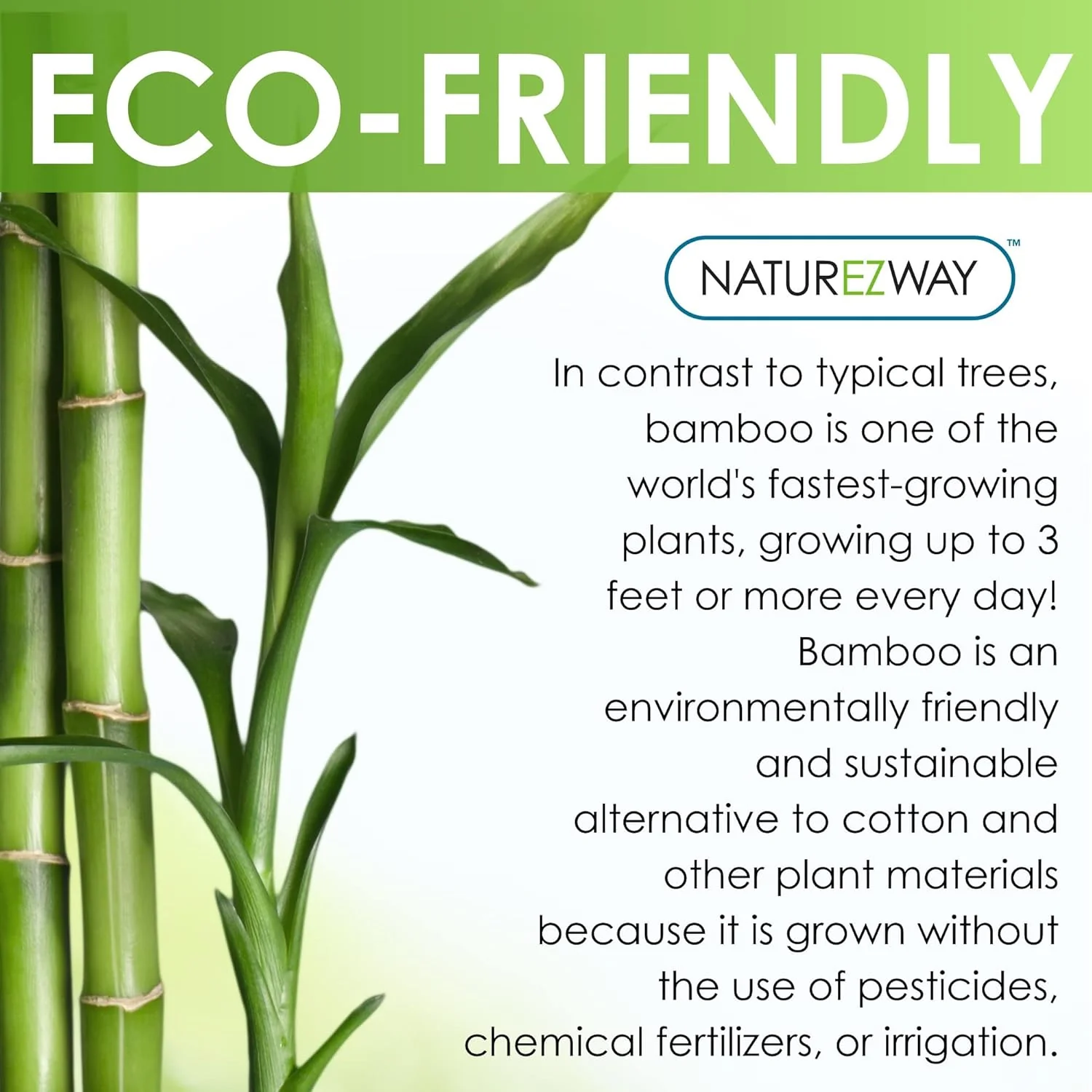 Bamboo Perforated Towels (25 CT) - Image 2