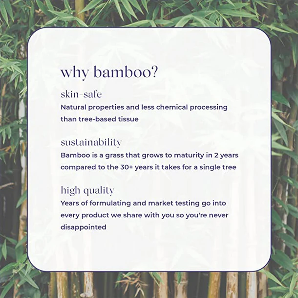 Bamboo Toilet Paper 4 Mega Rolls - Image 3