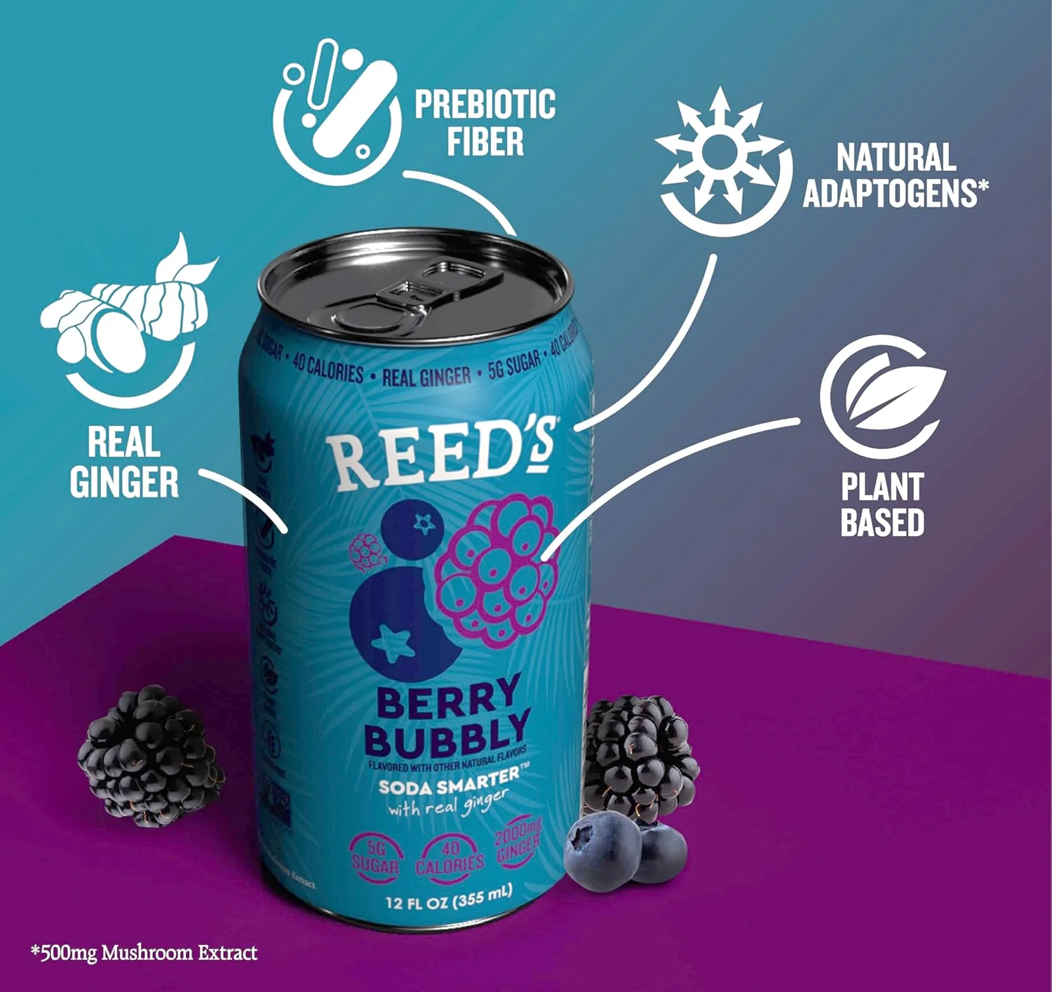 Berry Bubbly Functional Soda (12 Pack) - Image 3