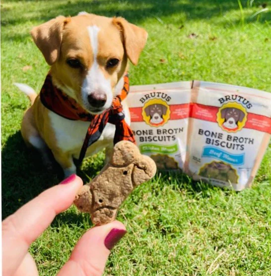 Chicken Brutus Dog Biscuit - Image 3