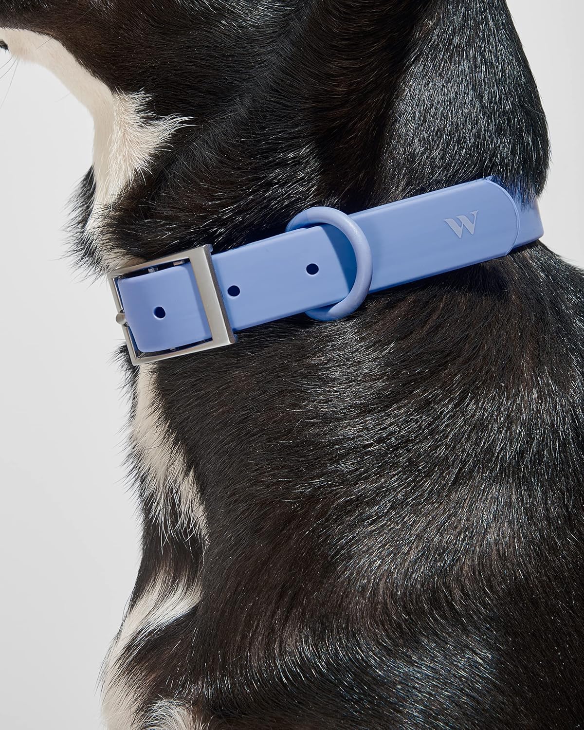 Collar - Extra Small - Moonstone - Image 3