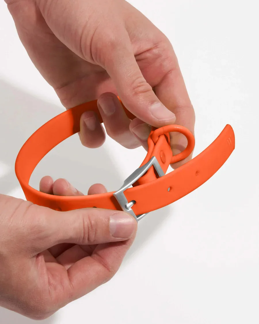 Collar - Large - Blaze - Image 3