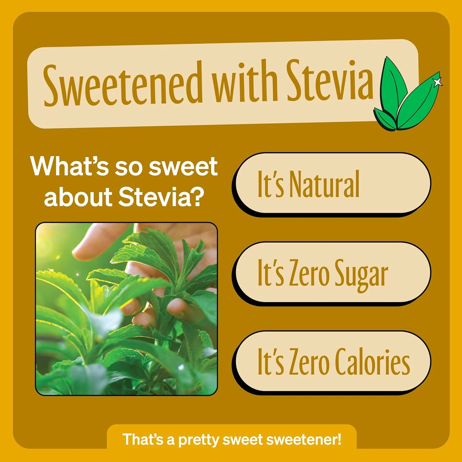 Cream Soda Zero Sugar (6 Pack) - Image 2