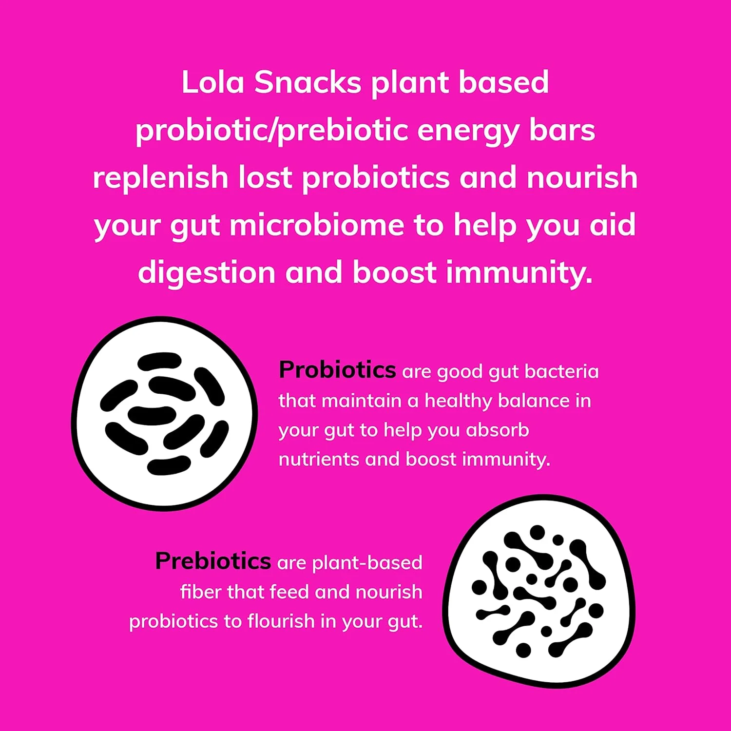 Dark Chocolate & Peanut Probiotic Bar (12 CT) - Image 4