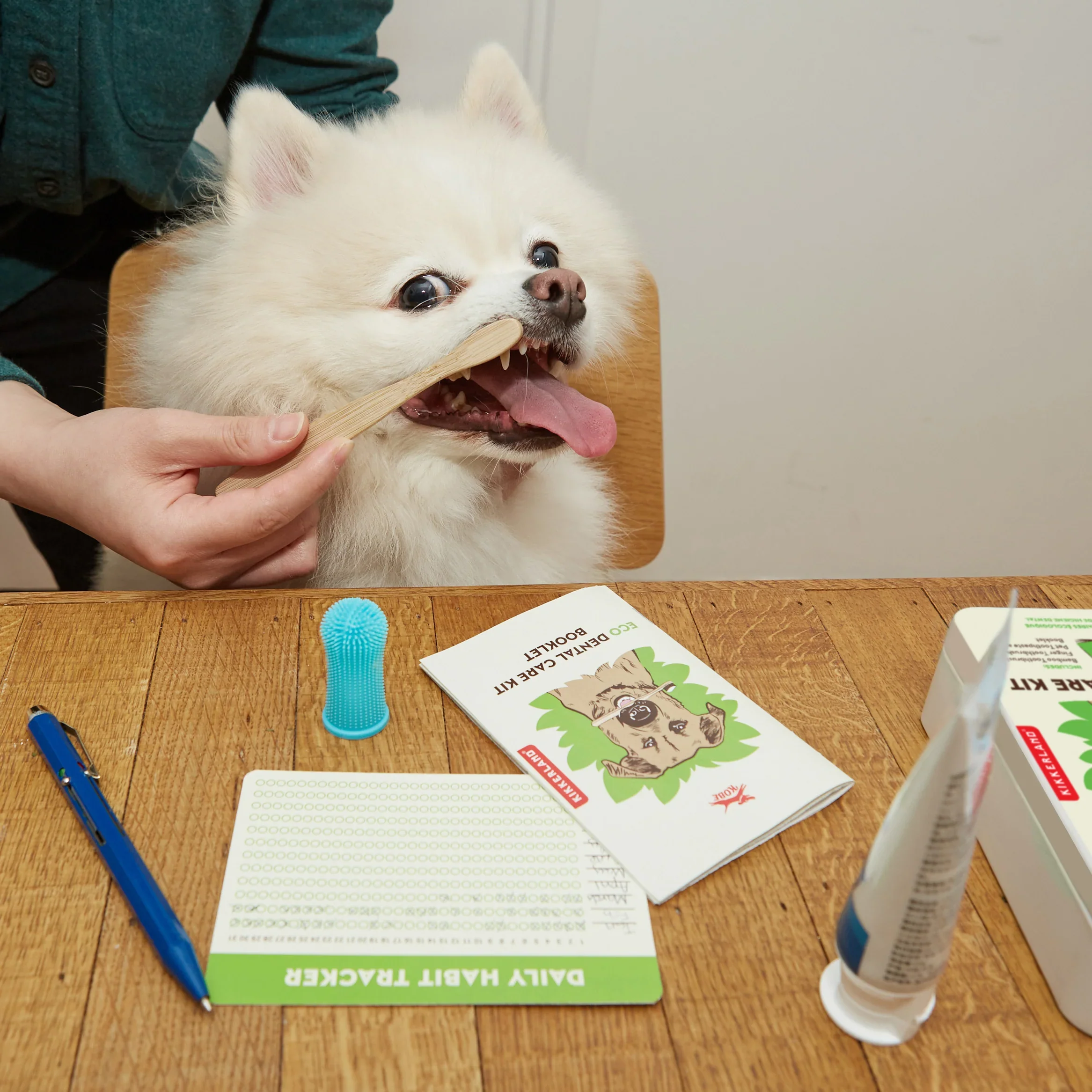 Eco Dental Care Kit - Bamboo Toothbrush, Finger Toothbrush, Pet Toothpaste and Booklet - Image 3