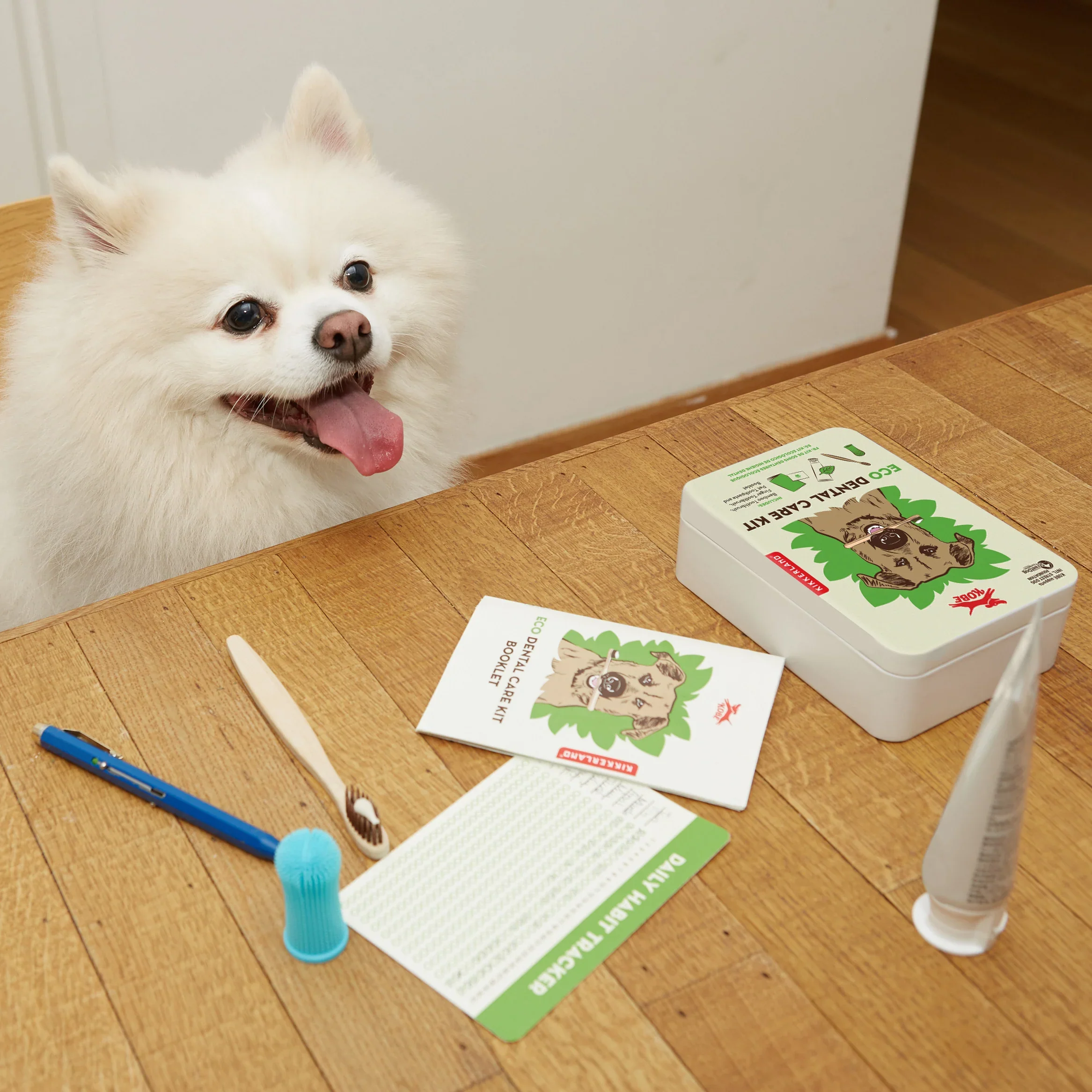 Eco Dental Care Kit - Bamboo Toothbrush, Finger Toothbrush, Pet Toothpaste and Booklet - Image 4