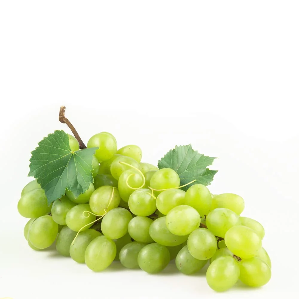 Essential C's Konjac Jelly - Green Grape (10 Pack) - Image 4