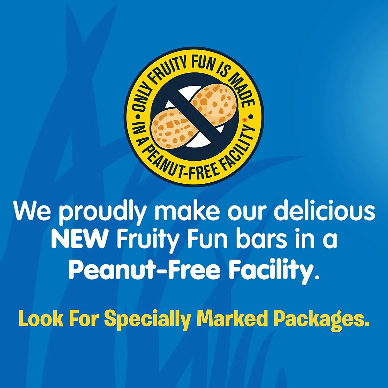 Fruity Fun Strawberry Granola Bars (6 Pack) - Image 3