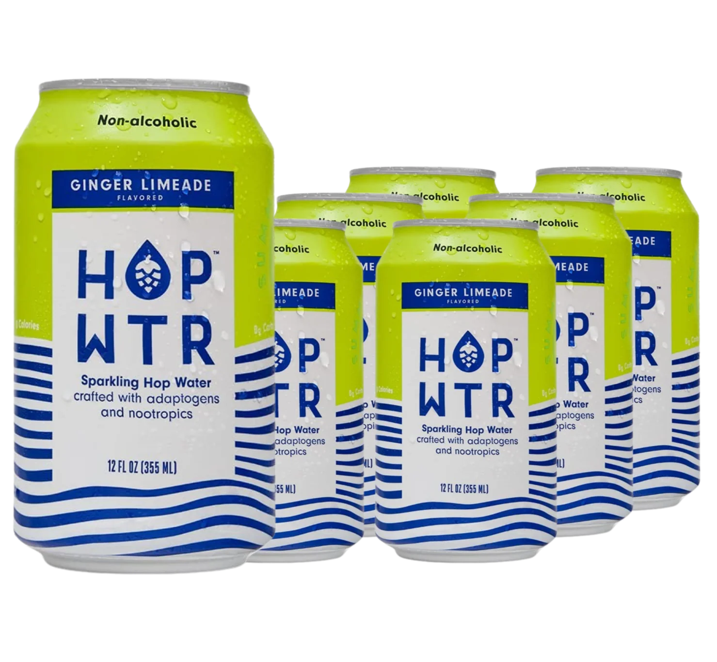 Ginger Limeade (6 Pack)