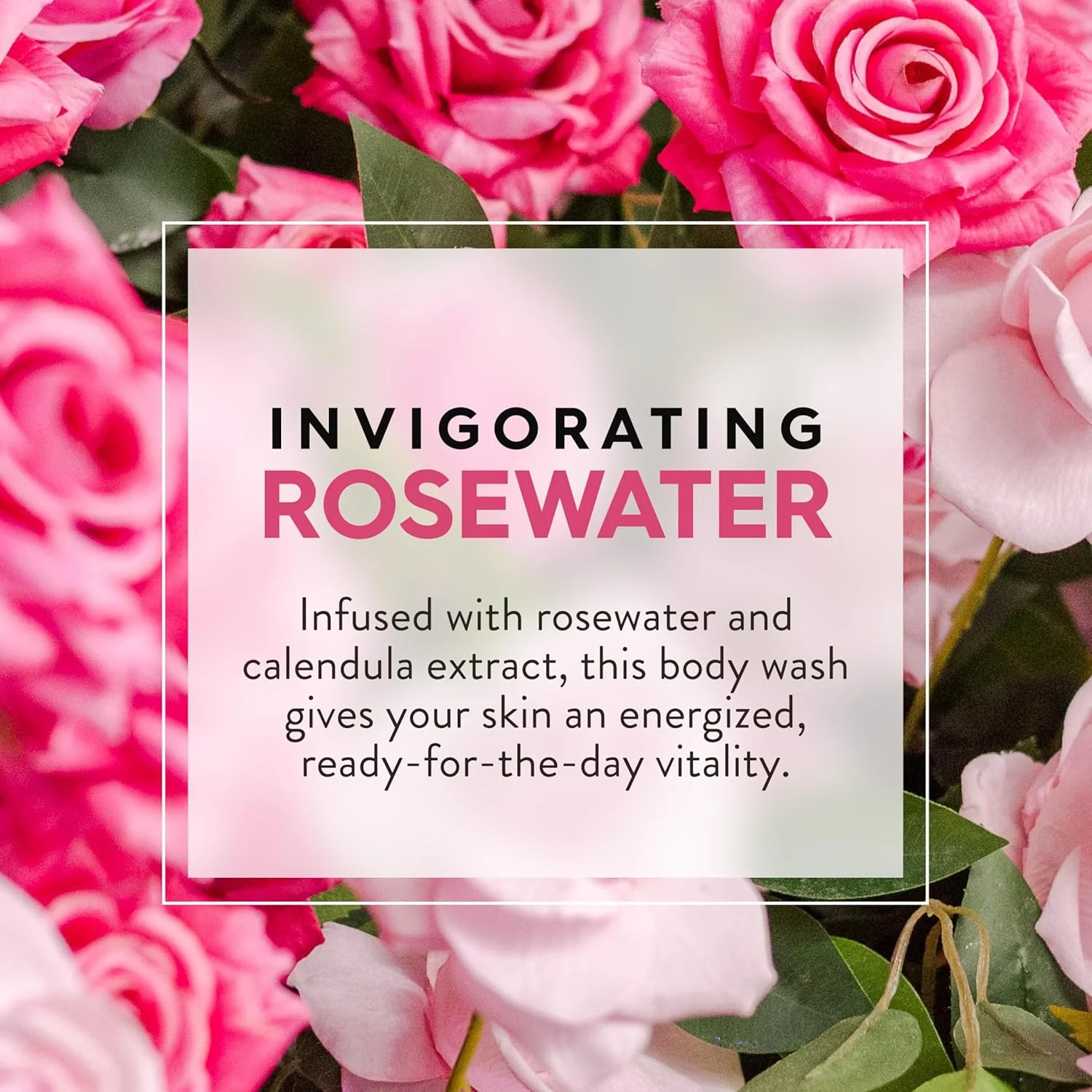 Glycerin And Rose Body Wash - Image 3