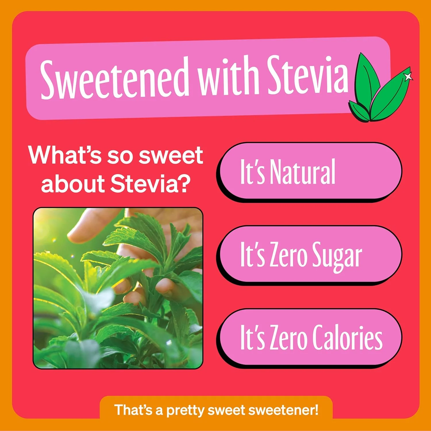 Grapefruit Zero Sugar Soda (6 Pack) - Image 4