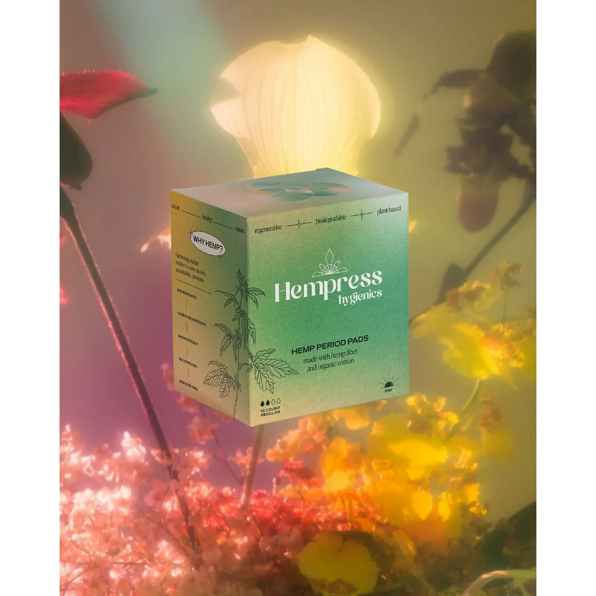 Hemp Day Regular Pads (12 CT) - Image 4