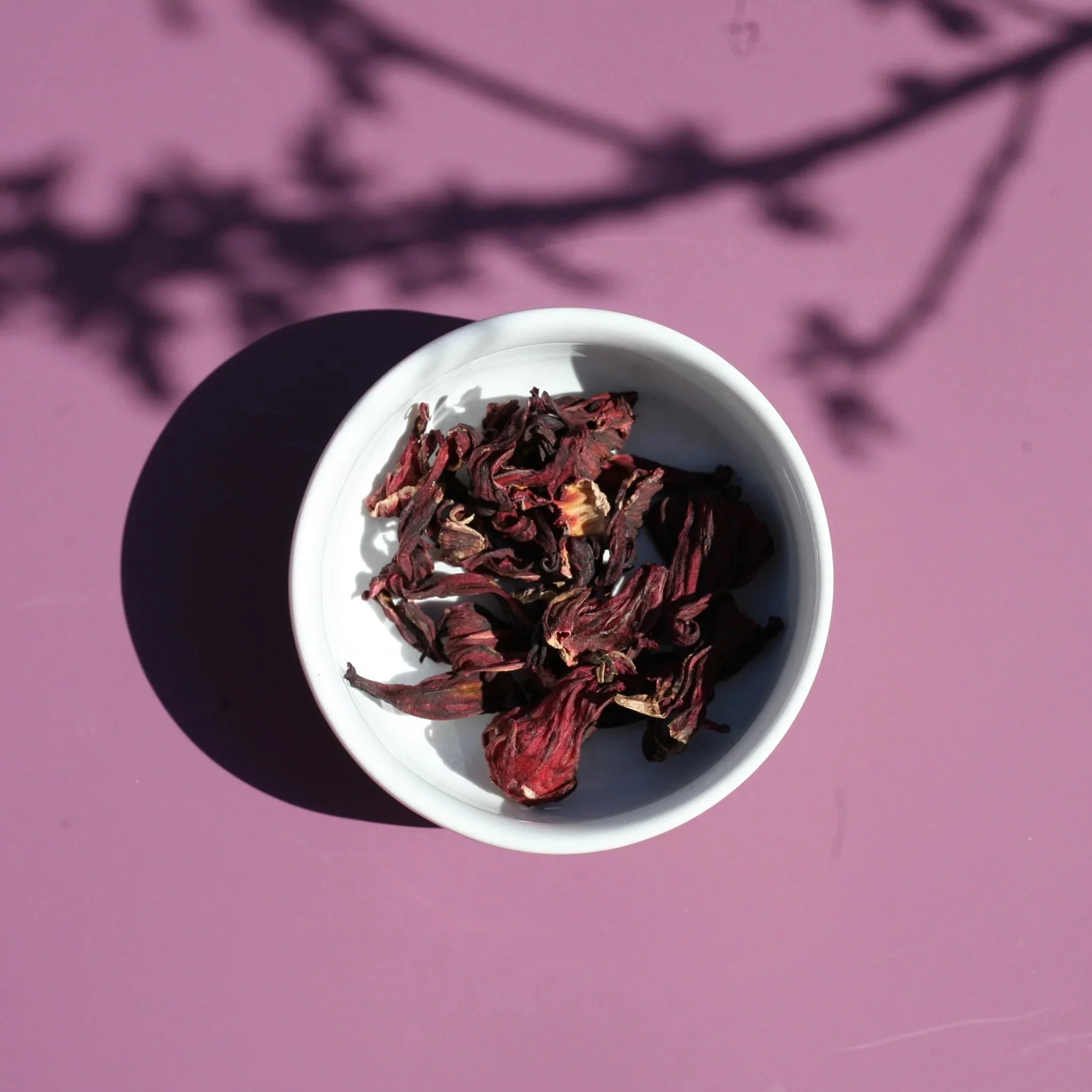 Hibiscus Flowers - Image 3