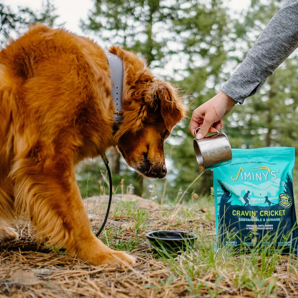 Cravin' Cricket Dog Food - Image 3