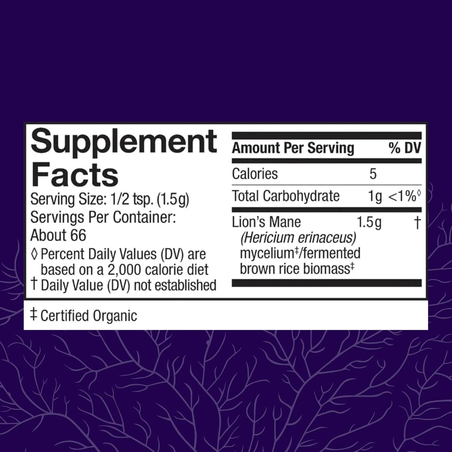Lion's Mane Powder - Brain Health Support Supplement - Image 3