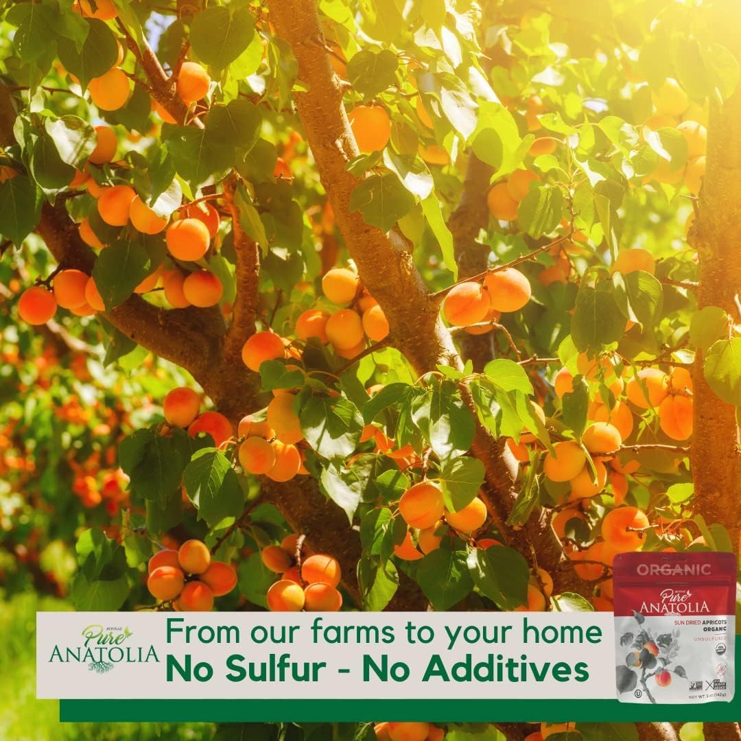 Organic Sun-Dried Apricots - Image 2