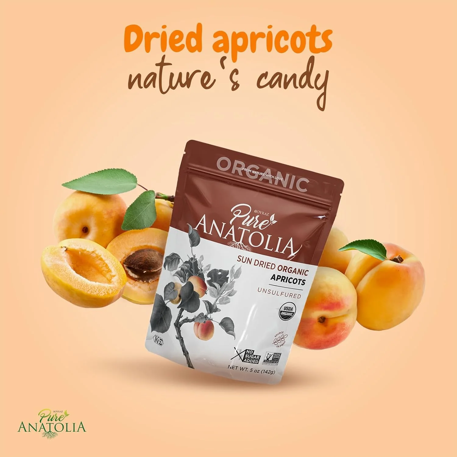 Organic Sun-Dried Apricots - Image 3