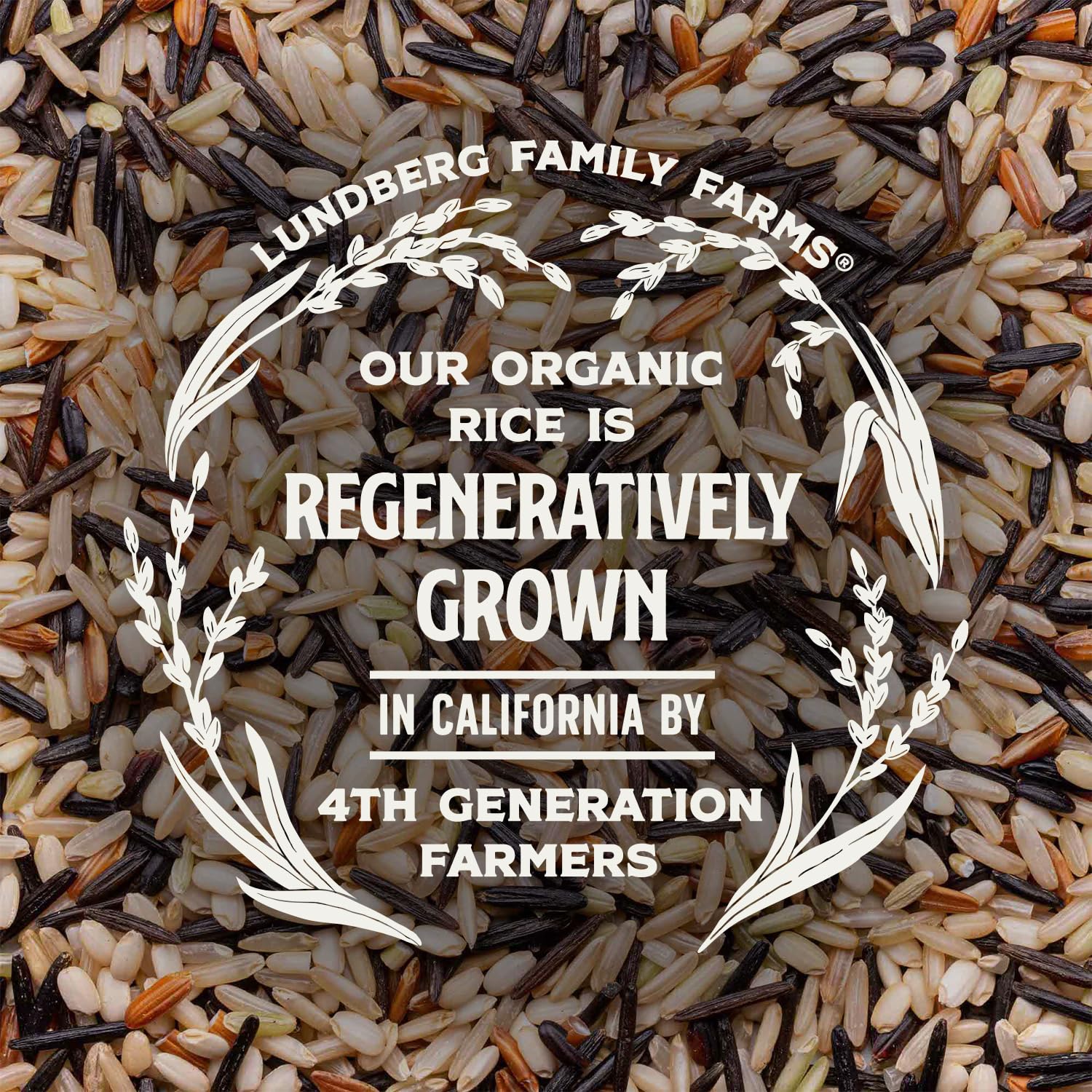 Organic Wild Blend Rice - Image 2