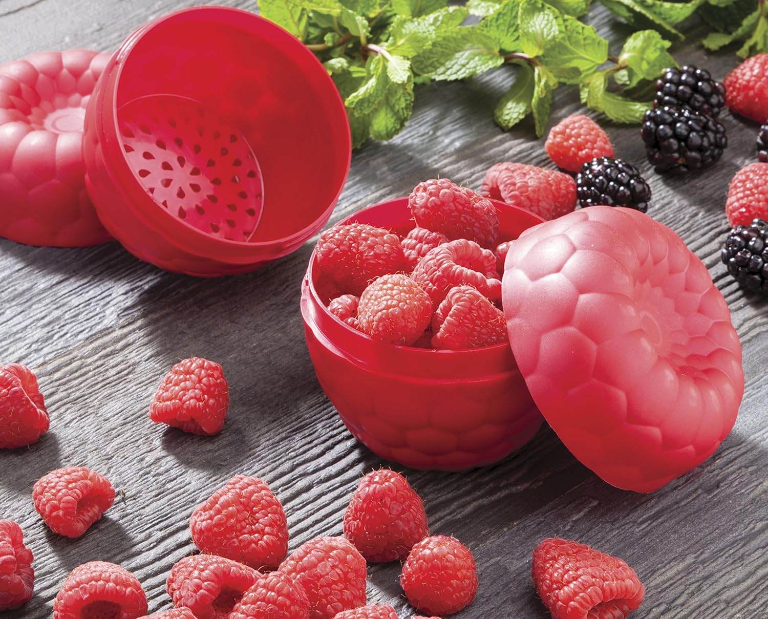 Raspberry Keeper Storage Container - Image 3
