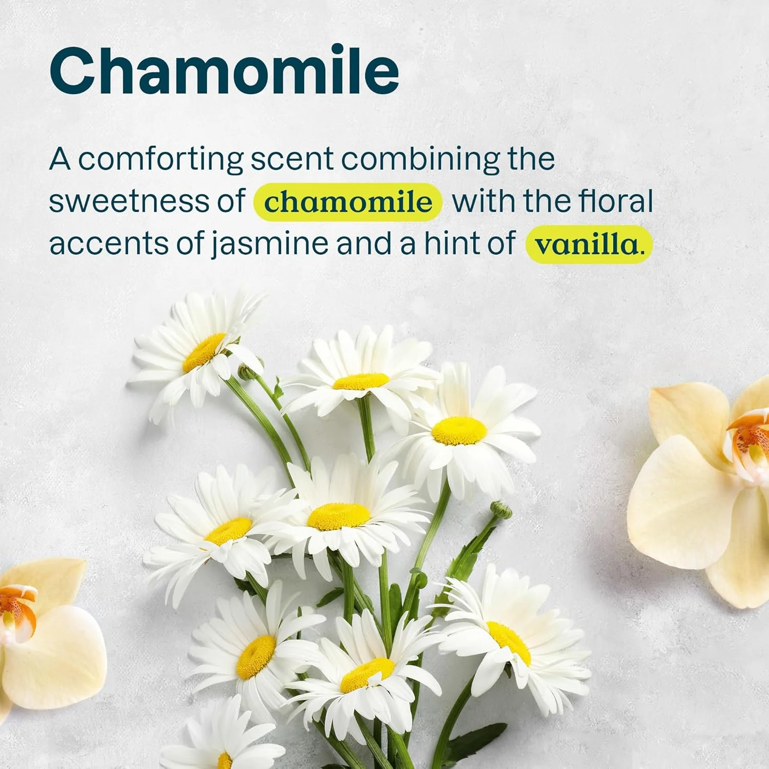 Sensitive Natural Oat & Chamomile Deodorant - Image 4