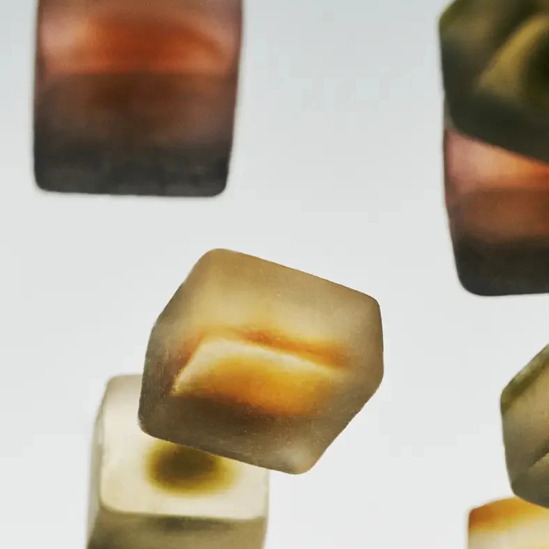Sleep Mushroom Gummy Delights - White Tea - Image 4