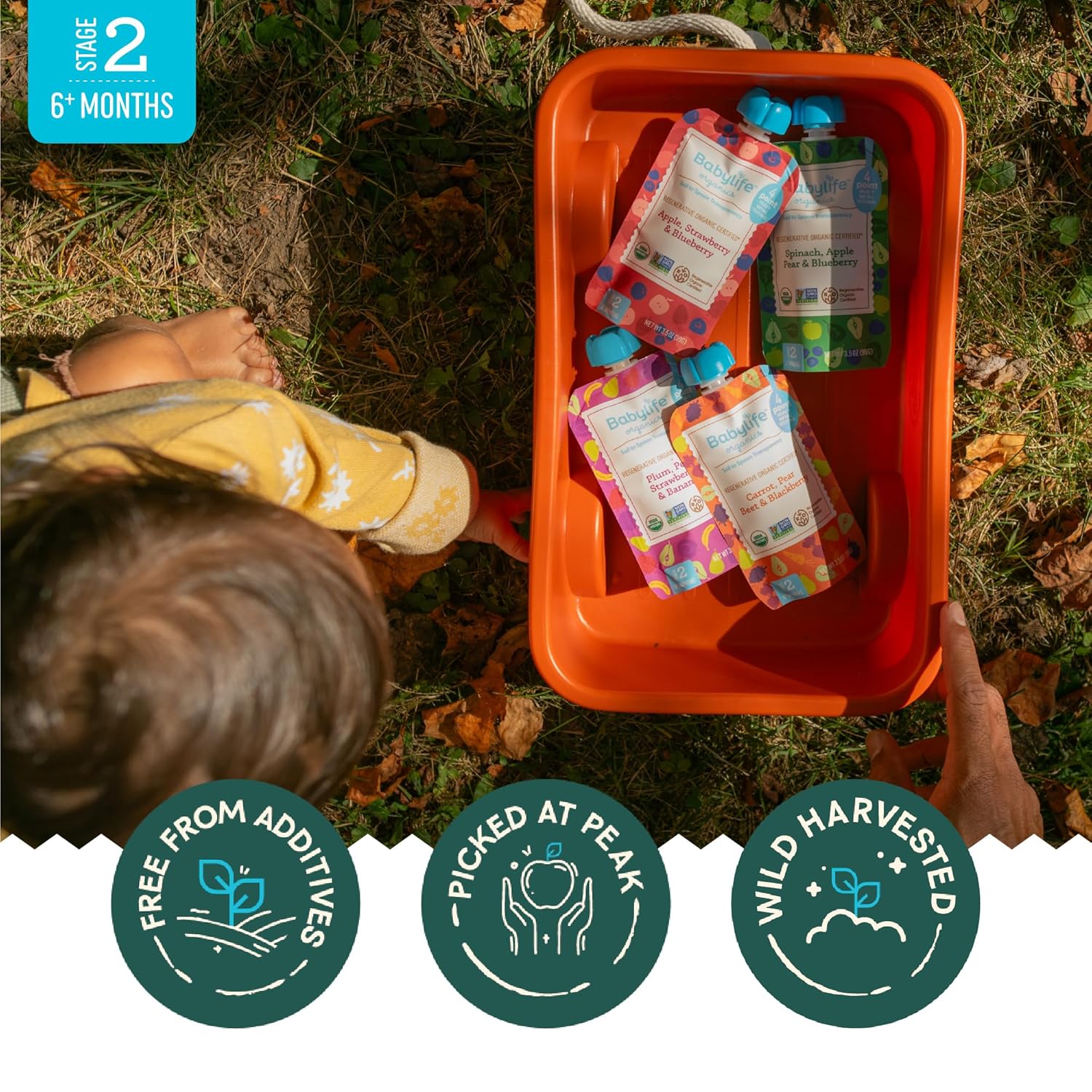 Spinach, Apple, Pear, Blueberry Baby Food Pouches (6 CT) - Image 3
