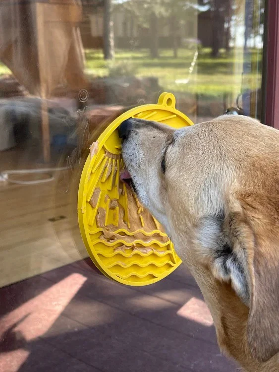 Sun N' Sea – Durable Dog Lick Mat Feeder w/ Suction Cups - Blue - Image 2