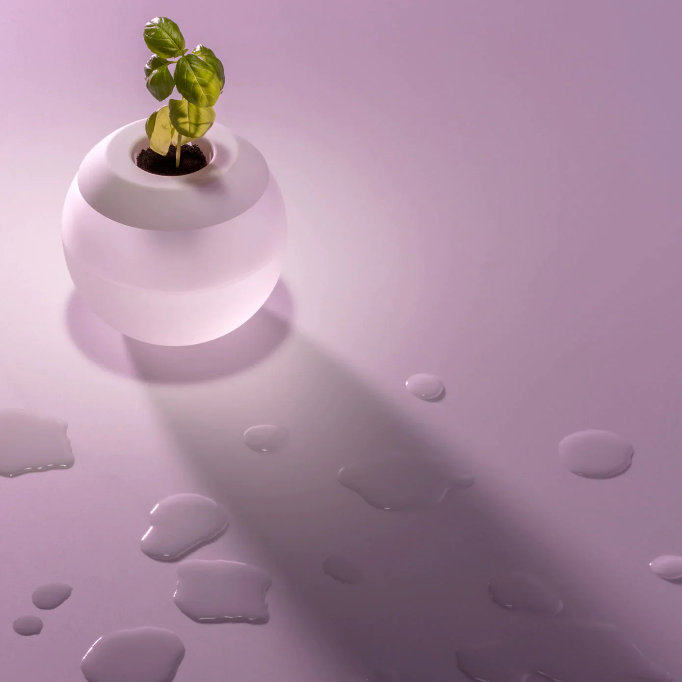 The Hydropod - Image 2