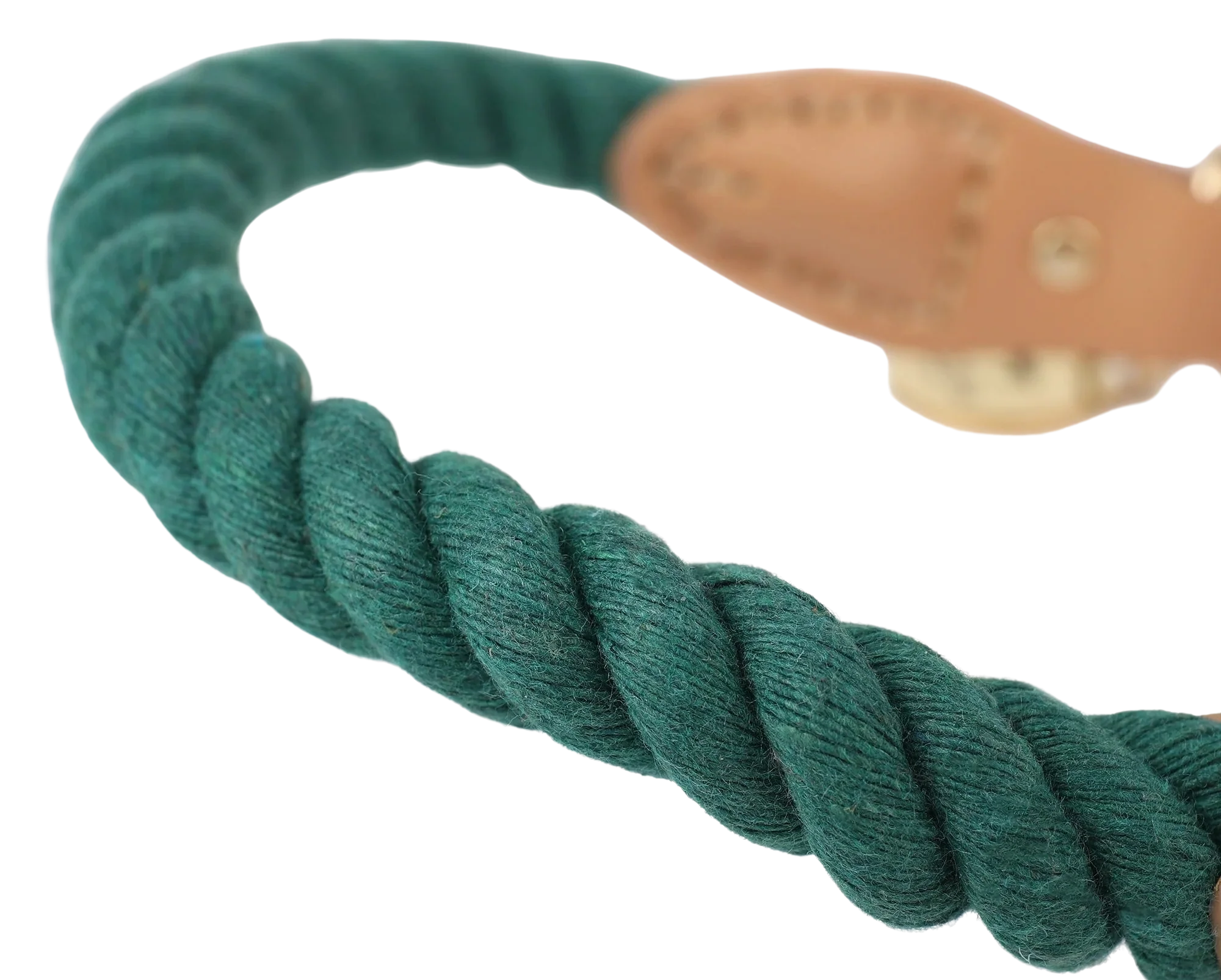 Wander Rope Dog Collar, Green (Medium) - Image 3